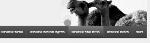 המחשה של גרדיאנט באינטרנט ישראל