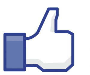 Facebook LIKE icon