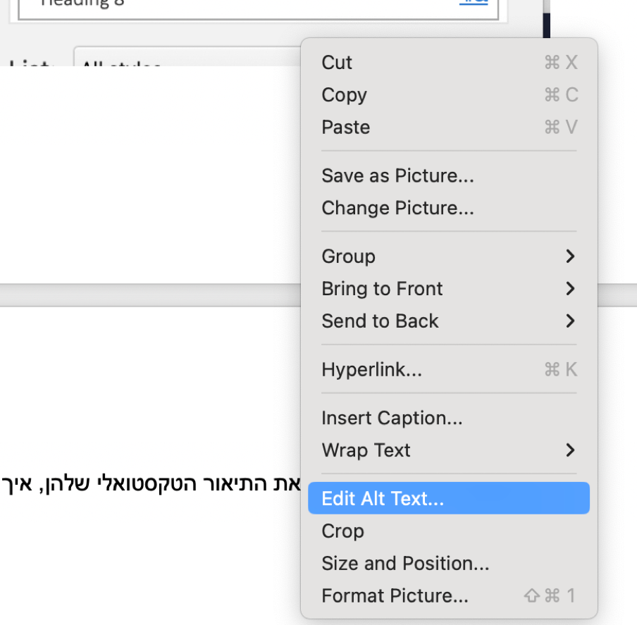 תפריט שמופיע כאשר לוחצים על הכפתור הימני על תמונה. יש לבחור Edit Alt Text.
