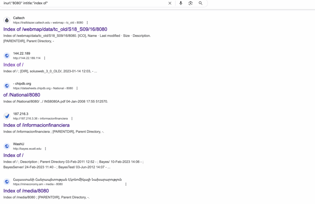 חיפוש בגוגל של אתרים עם השאילתה inurl:"8080" intitle:"index of" רואים תוצאות שונות.